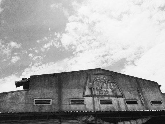 Processed with VSCOcam with b1 preset